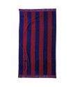 GREENWICH POLO CLUB ΠΕΤΣΕΤΑ ΘΑΛΑΣΣΗΣ 90Χ170 3724 BLUE, RED