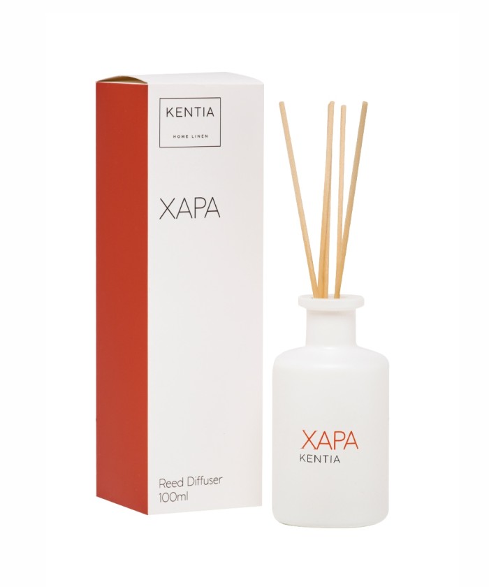 MOOD 25 ΧΑΡΑ DIFFUSER NEON BLOCK