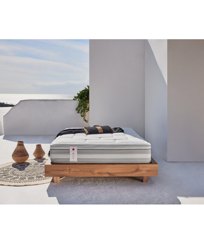 ΣΤΡΩΜΑ ASSOS